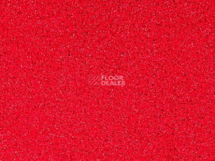 Грязезащитные покрытия Vebe Traffic Gp 40 фото 1 | FLOORDEALER